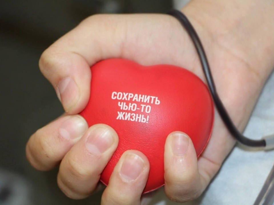 Донор 2
