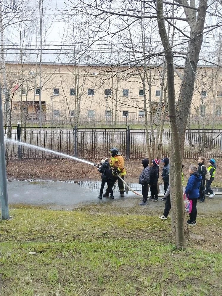 3б 4