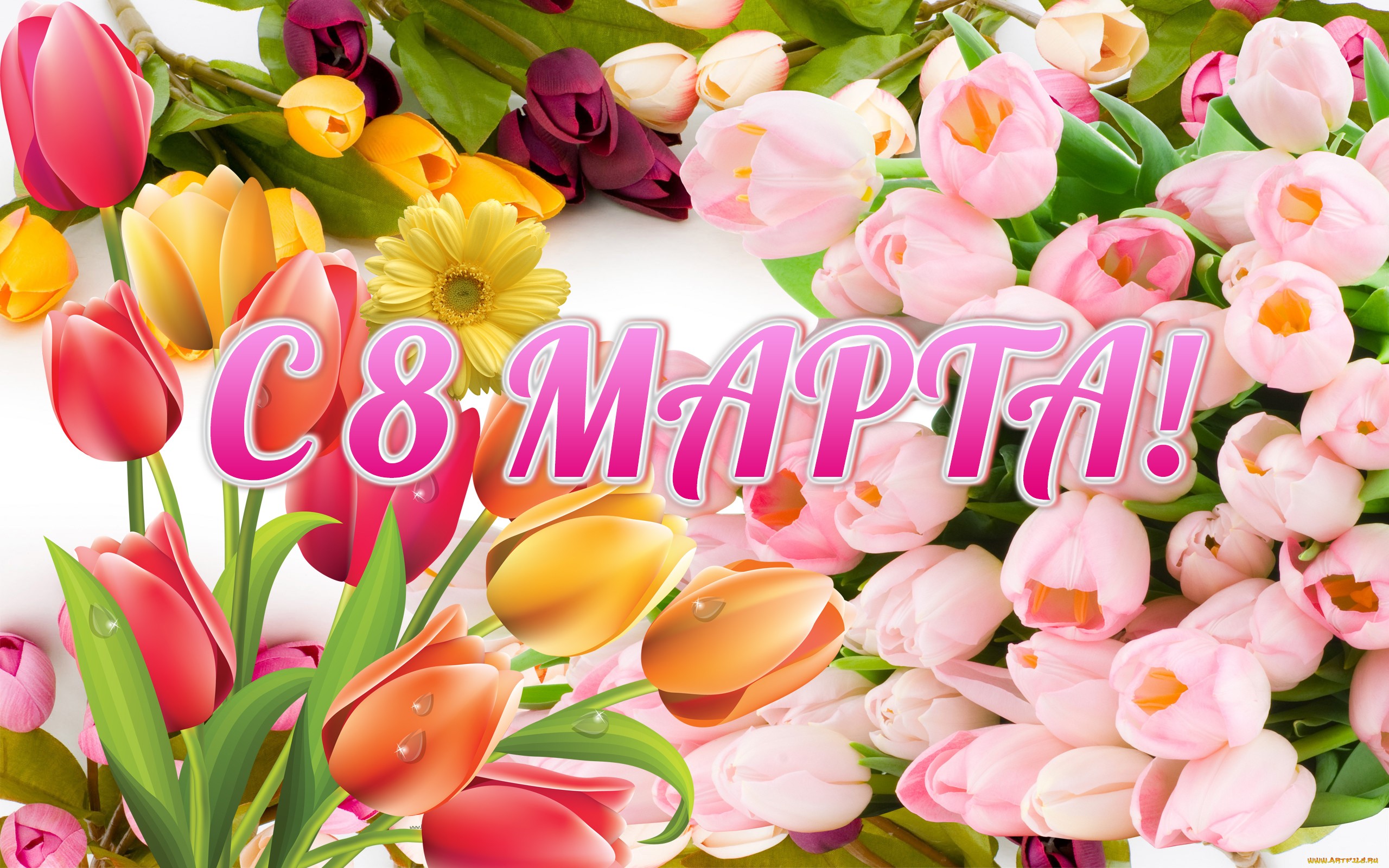 2560x1600 706572 www.ArtFile.ru