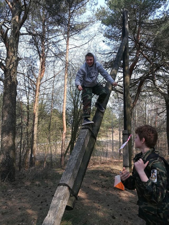 zarnitsa2019-3